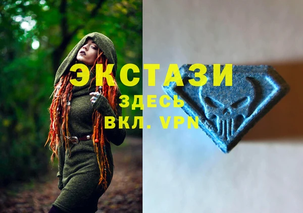 СК Тайга
