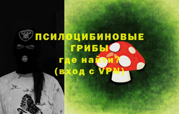 СК Тайга