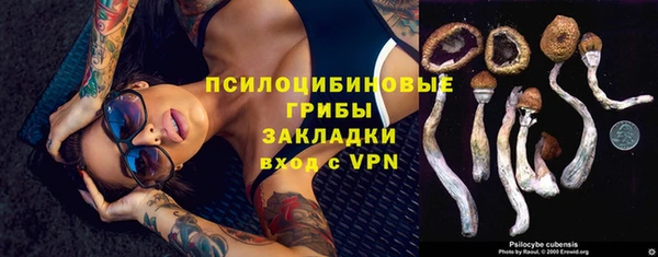 скорость Сясьстрой