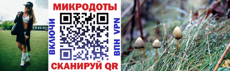 купить   Певек  Псилоцибиновые грибы GOLDEN TEACHER 